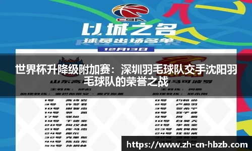 黑白体育直播