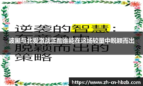 黑白体育高清直播