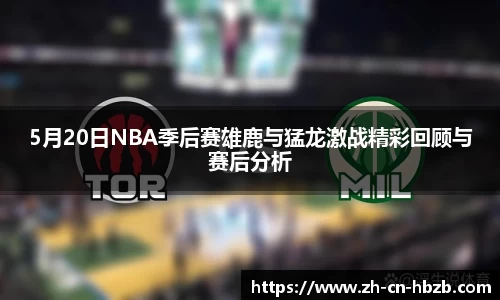 黑白体育直播